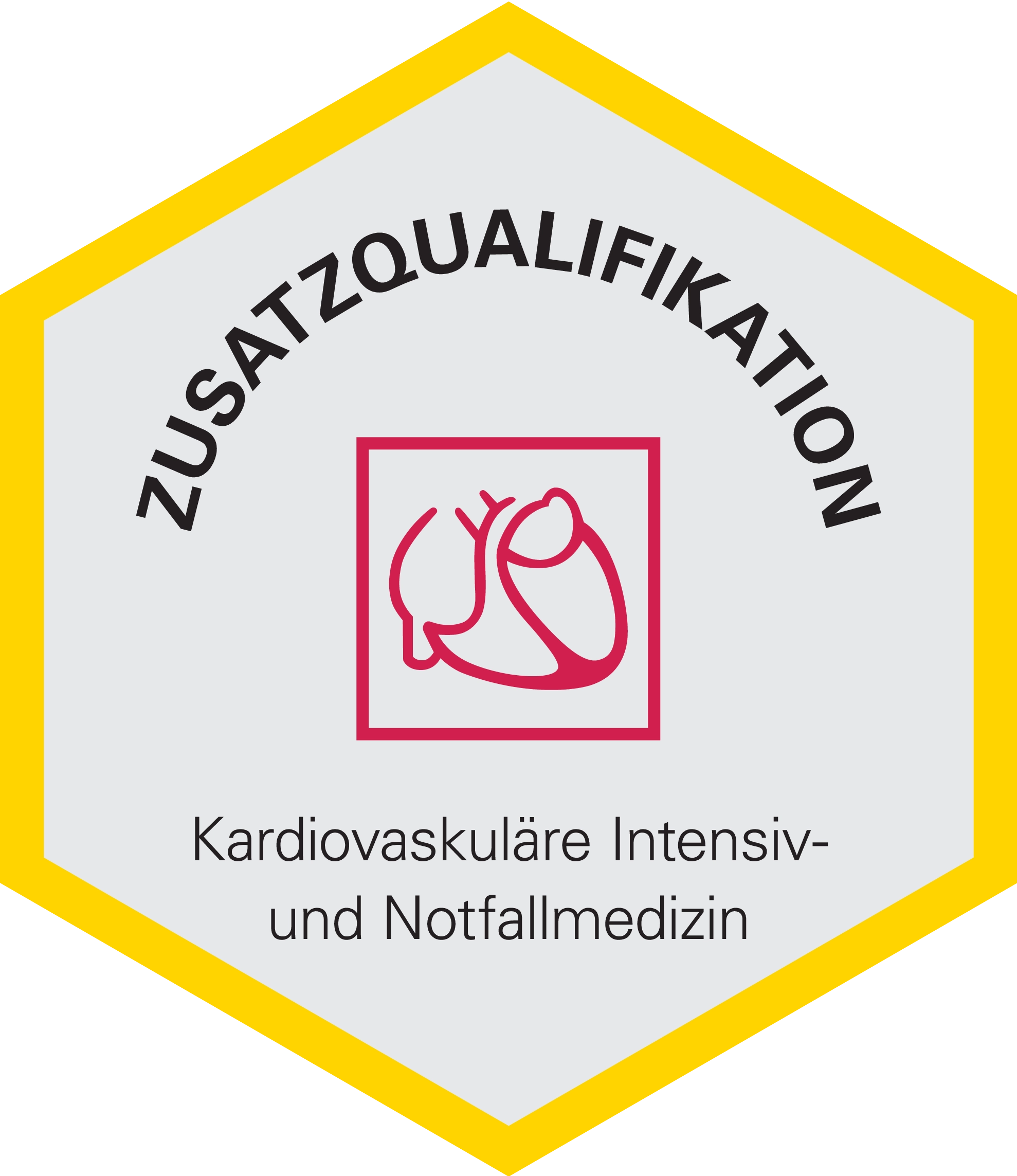 Logo der Deutschen Gesellschaft für Kardiologie